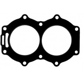 Cylinder head 25 - 35 HP EVINRUDE JOHNSON OUTBOARD MOTOR