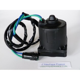 Moteur de trim pour YAMAHA JOHNSON EVINRUDE OMC