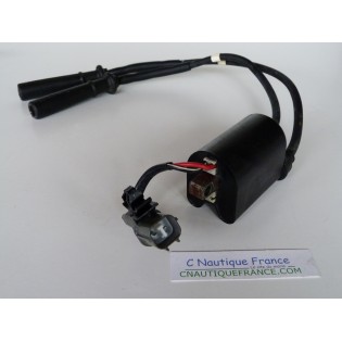 F200 F250 BOBINA 200 - 250 CV 4T YAMAHA 69J-82310-00