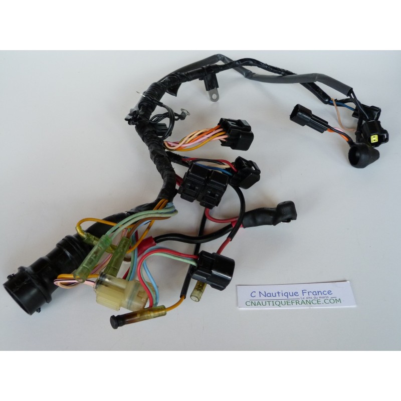 F80 WIRE HARNESS 80 HP 4S YAMAHA 67G