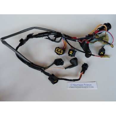 F80 WIRE HARNESS 80 HP 4S YAMAHA 67G