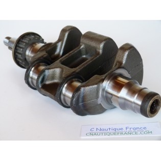 BF15D BF20D ALBERO A GOMITI 15 - 20 CV HONDA ZY1