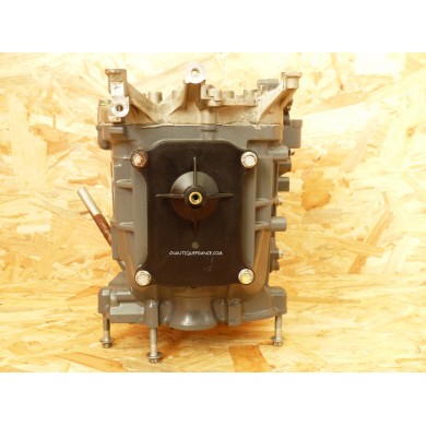 BF15D BF20D BLOCCO MOTORE 15 - 20 CV HONDA ZY1