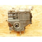 BF15D BF20D BLOCCO MOTORE 15 - 20 CV HONDA ZY1