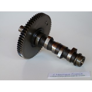 DF25 - ALBERO A CAMES 25 CV 4T SUZUKI 95J V-TWIN