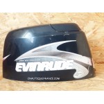 DF50 CALANDRA 50 CV 4T EVINRUDE 87J