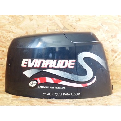 DF50 CALANDRA 50 CV 4T EVINRUDE 87J