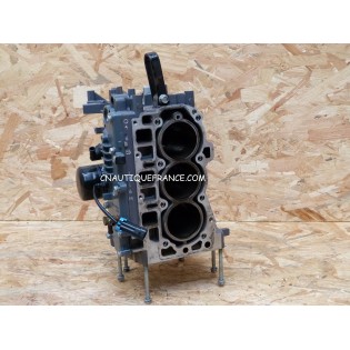 CYLINDER CRANKCASE 30 - 40 HP 4S YAMAHA F30 F40 67C -W009B-02-1S