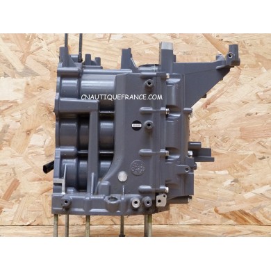 F30 F40 BLOCCO MOTORE 30 - 40 CV 4T YAMAHA 67C 69H