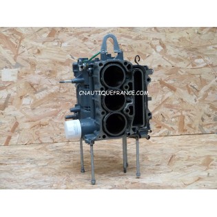 CARTER BLOC MOTEUR 40 - 50 CV 4T SUZUKI EVINRUDE 87J DF40 DF50