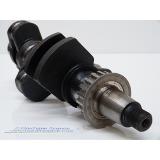 30 - 40 CV 4T ALBERO A GOMITI MERCURY 858507