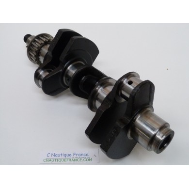 30 - 40 HP 4S CRANKSHAFT MERCURY 858507