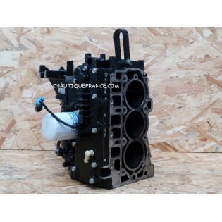 BLOCCO MOTORE 40CV 4T MERCURY 850082