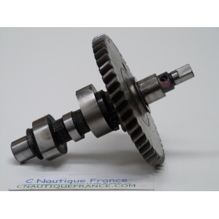DF4 DF6 - ALBERO CAMES 4 - 6 CV 4T SUZUKI 91J