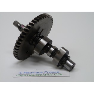 DF4 DF6 - CAMSHAFT 4 - 6 HP 4S SUZUKI 91J