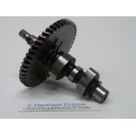 DF4 DF6 - ALBERO CAMES 4 - 6 CV 4T SUZUKI 91J