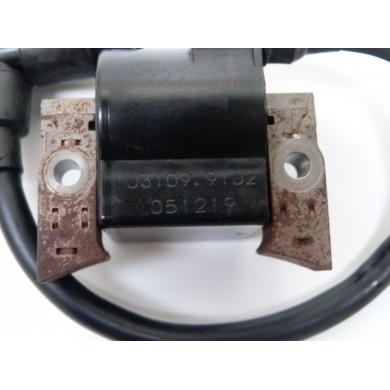 DF4 DF6 IGNITION COIL 4 - 6 HP 4S SUZUKI 91J