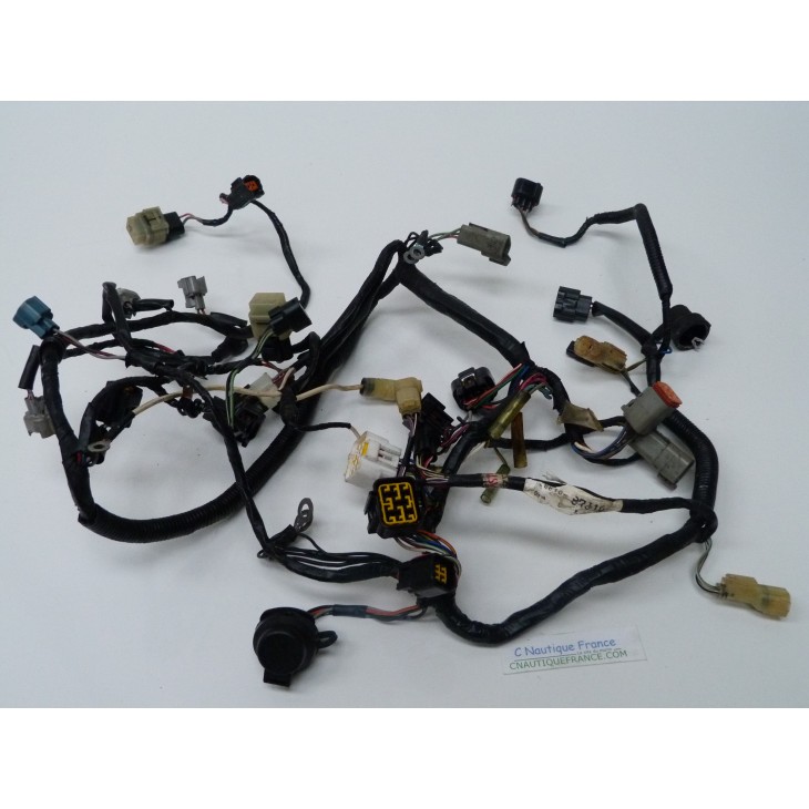 HARNESS EVINRUDE 5031476 - Used part outboard motor