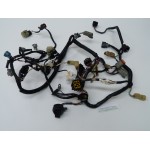 40 - 50 HP 4S HARNESS EVINRUDE 5031476