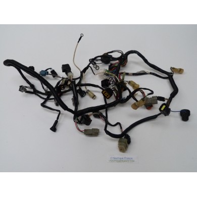 40 - 50 CV 4T FAISCEAU DE CABLES EVINRUDE 87J