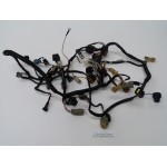 40 - 50 HP 4S HARNESS EVINRUDE 5031476