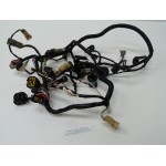 40 - 50 CV 4T FAISCEAU DE CABLES EVINRUDE 87J