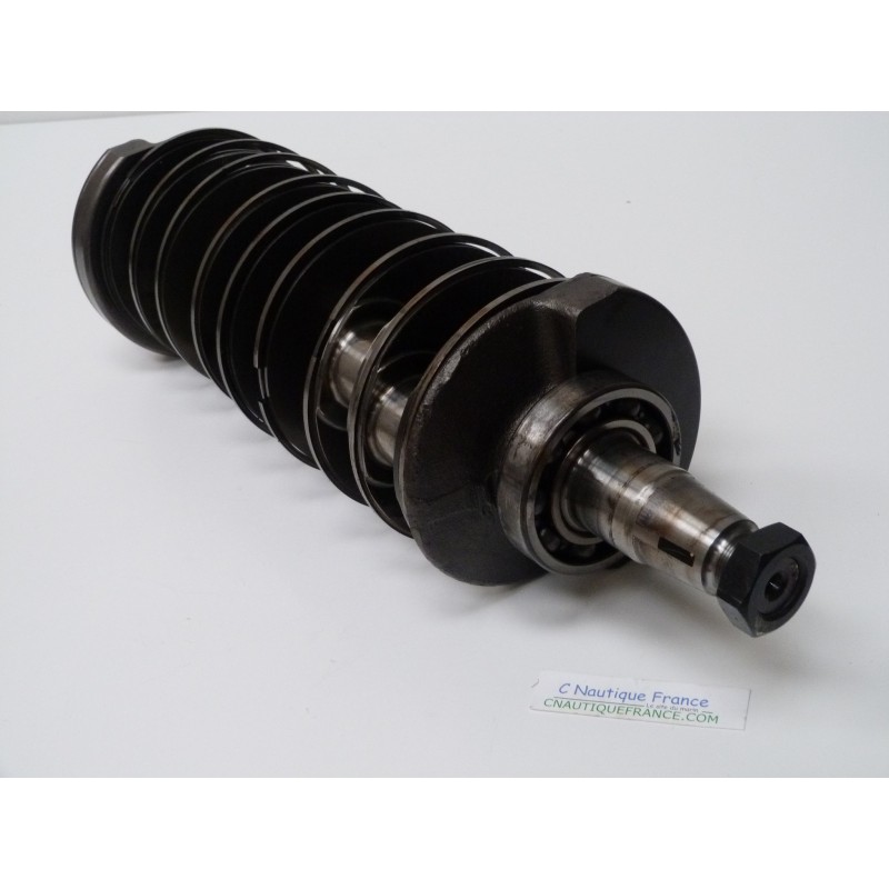 200 - 300 CV ALBERO A GOMITI YAMAHA 6D0 HPDI