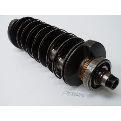 200 - 300 CV ALBERO A GOMITI YAMAHA 6D0 HPDI