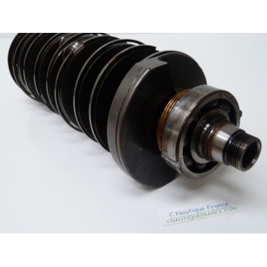 200 - 300 CV ALBERO A GOMITI YAMAHA 6D0 HPDI