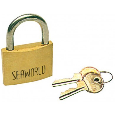 50 mm Bronze Stainless Steel Padlock