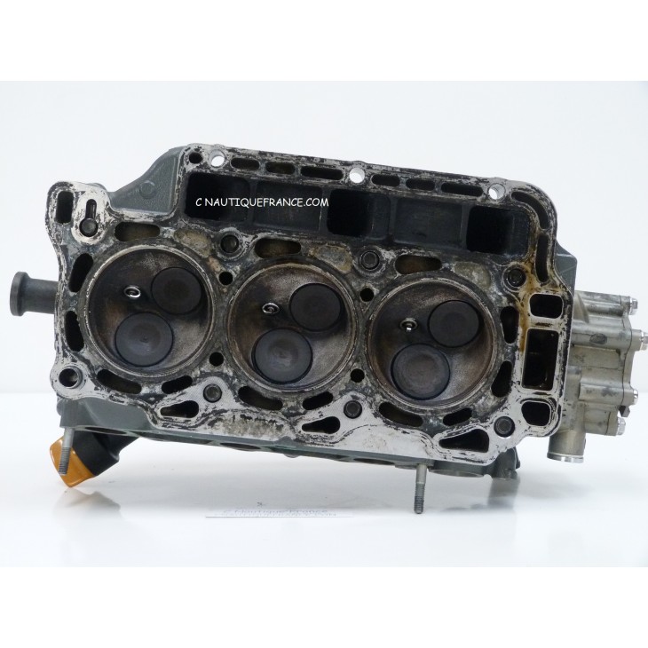 BF50 POWER HEAD 50 HP HONDA ZV5