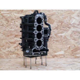 75 - 100 CV BLOC MOTEUR MERCURY