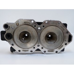 CULASSE 40 - 65 CV 2T EVINRUDE E-TEC 5007479