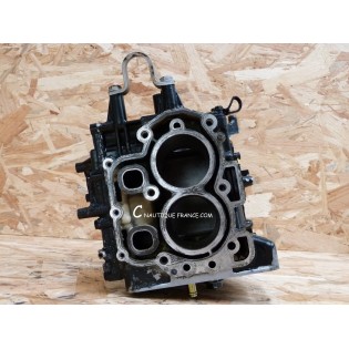 MFS9.9B MFS18B BLOCCO MOTORE 9.9 - 18 CV 4T TOHATSU 3V9