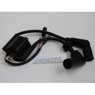 F9.9 F15 BOBINE 9.9 - 15 CV 4T YAMAHA 66M 85570