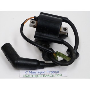 F9.9 F15 BOBINA 9.9 - 15 CV 4T YAMAHA 66N 66M 85570