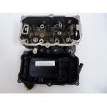 BF25D DELLA TESTATA 25 CV 4T HONDA ZV7 ZW2