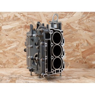BF25 BF30 CRANKCASE 25 - 30 HP HONDA ZV7