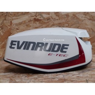 25 HP TOP COWL EVINRUDE E-TEC
