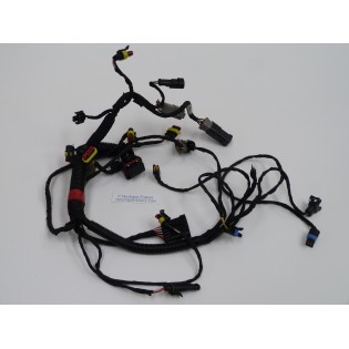 15 - 30 CV CABLAGGIO ELETTRICO EVINRUDE E-TEC 587061