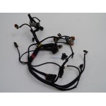 25 HP ELECTRICAL HARNESS EVINRUDE E-TEC