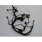 25 HP ELECTRICAL HARNESS EVINRUDE E-TEC