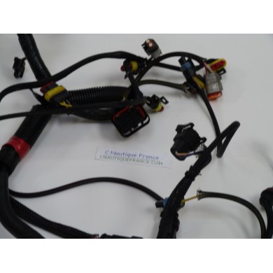 25 HP ELECTRICAL HARNESS EVINRUDE E-TEC