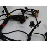 25 HP ELECTRICAL HARNESS EVINRUDE E-TEC