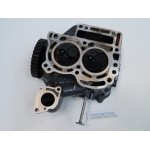 BF20D CYLINDER HEAD 20 HP HONDA ZY1