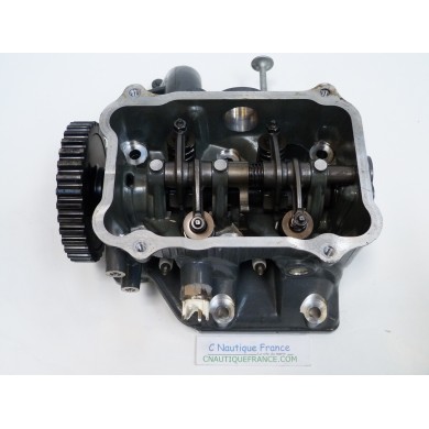 BF20D CYLINDER HEAD 20 HP HONDA ZY1