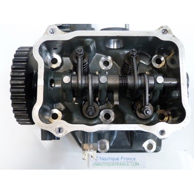 BF20D CYLINDER HEAD 20 HP HONDA ZY1