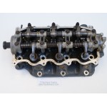 BF50 POWER HEAD 50 HP HONDA ZV5