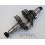 F4 F6 ALBERO A GOMITI 4 - 6 CV 4T YAMAHA 6BX 6EE