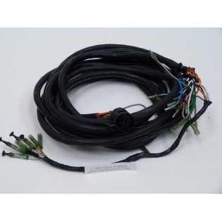 FAISCEAU ELECTRIQUE DE BOITIER DE COMMANDE SUZUKI NA12S